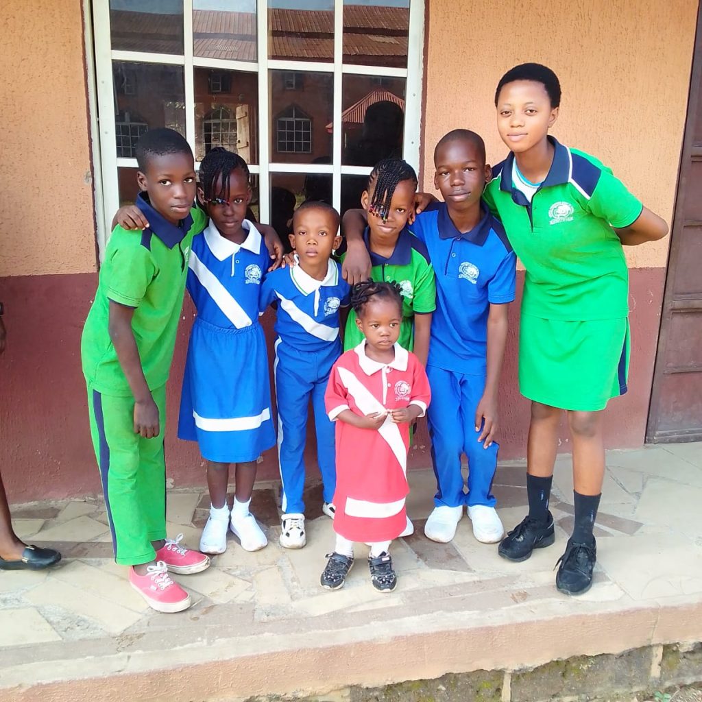 53264003-bc73-4c6c-a866-d52f66b63fa8